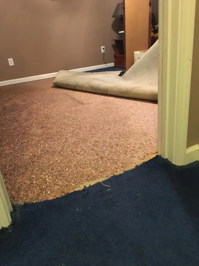 Carpet pad removal revealing water damage during Water Mitigation Services in West Memphis
