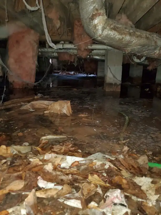 Crawl space flood assessment for Commercial Water Damage Restoration in West Memphis