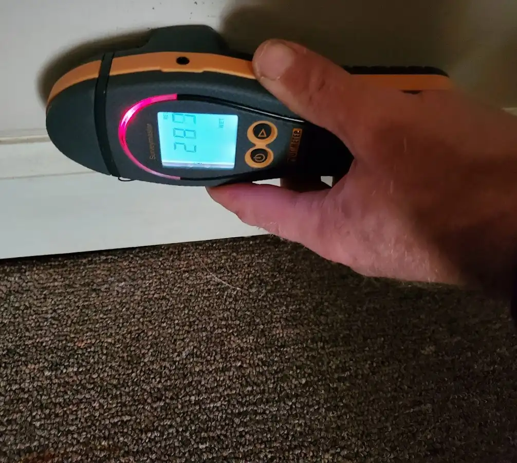 Moisture detection at baseboard during Sewage Cleanup & Sanitation in West Memphis